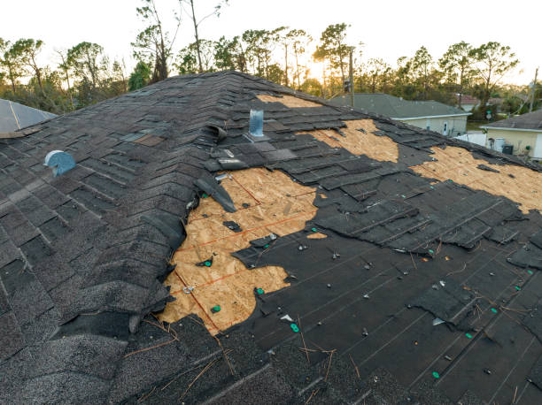 Best Roof Leak Repair  in Lakeland, MN